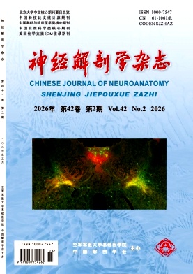 神经解剖学封面